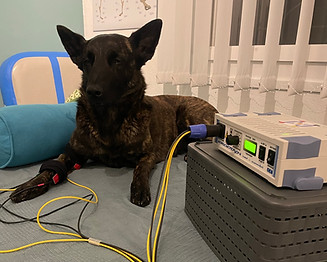 Elektrotherapie Ultraschall
