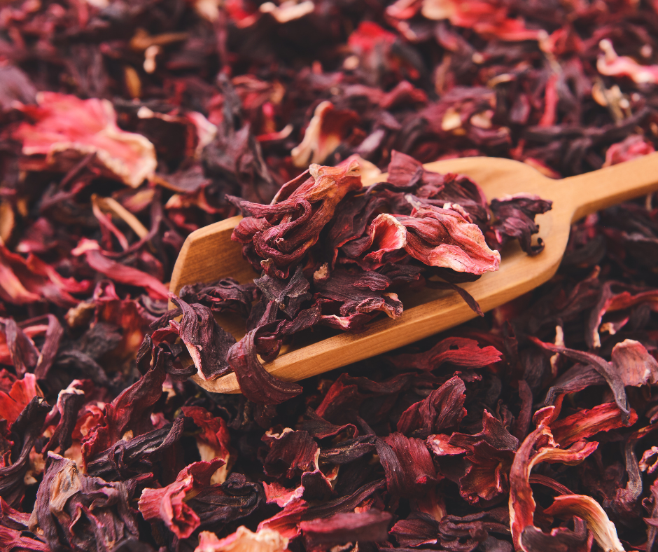 La fleur d'hibiscus, un trésor capillaire souvent négligé