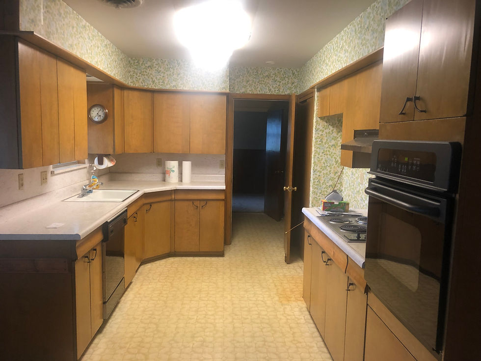 Kitchen Remodel Castle Hills San Antonio Kitchen Update (1).jpeg