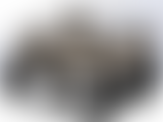 Innovative IoT-Based Agriculture System for Precision Farming