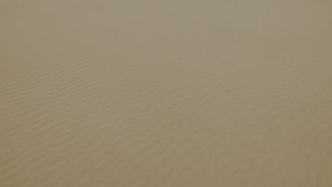 Sand Dunes_edited.jpg