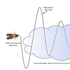 Screenshot 2024-11-27 010910.png