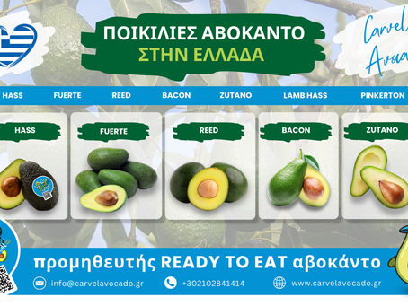 Ποικιλίες αβοκάντο στην Ελλάδα, Hass Fuerte Pinkerton και Bacon