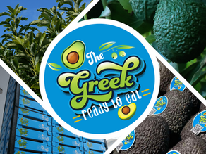 The Greek Ready to Eat by Carvel Avocado on pallets, ready for fast and reliable European export.