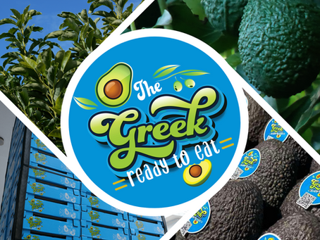 The Greek Ready to Eat by Carvel Avocado on pallets, ready for fast and reliable European export.