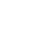 RENAULT.png