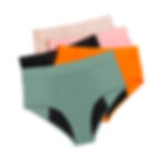 REBA Serenity Value 5 Pack Period Proof Undies