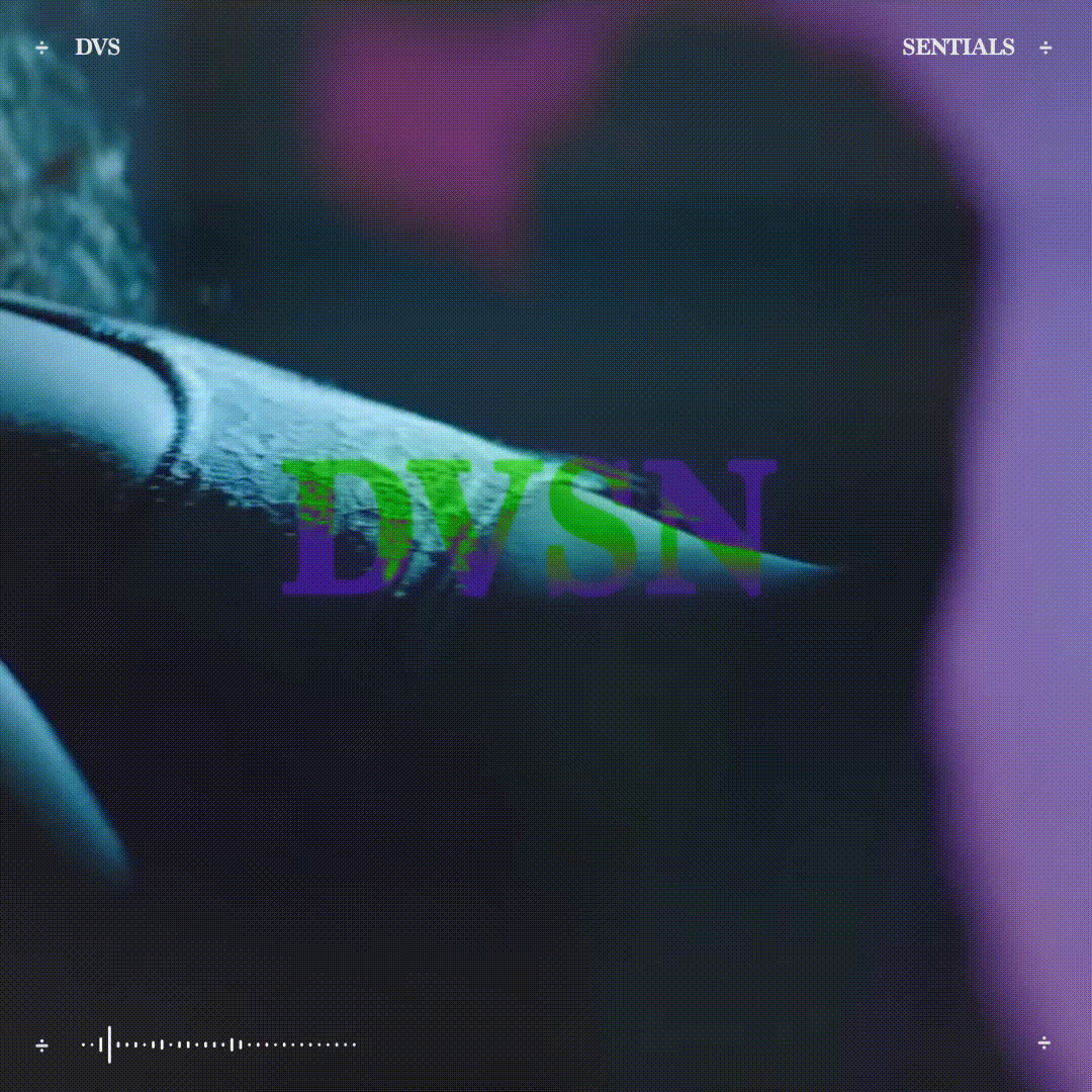 DVSNEssentials (1).gif