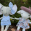Miniature : Doudou animal personnalisable avec vêtements – Création sur mesure