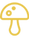 MushroomY.png