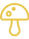 MushroomY.png