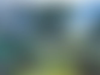 The peculiarities of memory