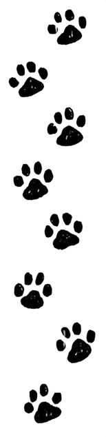 download (4)_edited.png