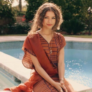 análisis de color zendaya