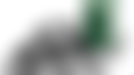 Qué es el color y por qué cambia según su entorno