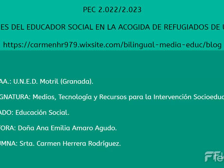 Funciones del Educador/a Social en la acogida de Refugiados Ucranianos en España: