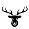 25fb989d-ea68-40d2-8f0e-39b438457870_edi