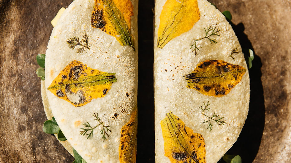 Nacho at Four Seasons Tamarindo in Mexico