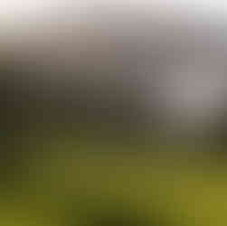 Golf course Four seasons Tamarindo