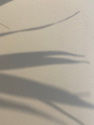 IMG_6355.JPEG