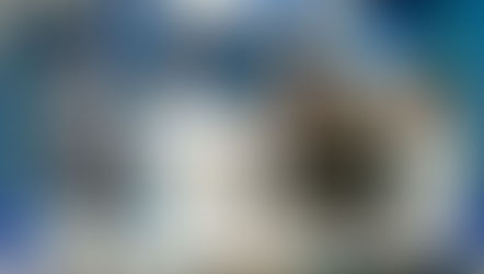 September 2025 Newsletter