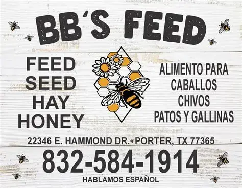 BB's .webp