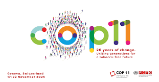 November Recap: Global Momentum, Local Urgency