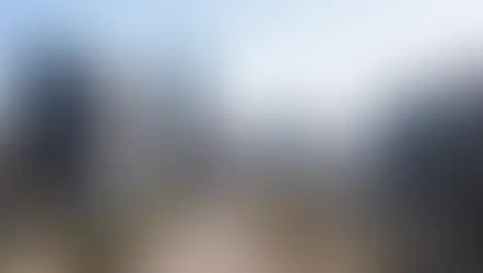 Joanesburgo: O Que Você Precisa Saber Antes de Visitar?