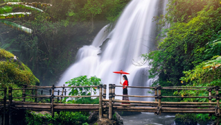Explore trilhas de conservação na Indonésia e viva o ecoturismo em parques nacionais quase intocados. Descubra com o Travel Blog!