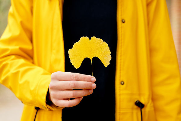 A person holds a ginkgo leaf in front of their body. Gingko Leaf Health offers online therapy services.