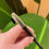 Thumbnail: The Copper Fox artists pre-draw pencil (BLACK)