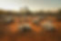 iStock-903956040.jpg