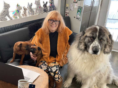 Late-Identified Autism Interview: ADHD and Autism