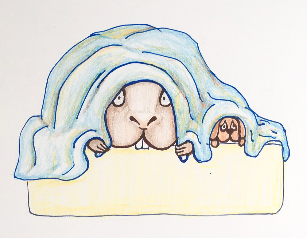 A cartoon of a hamster and dog hiding underneath a blanket.