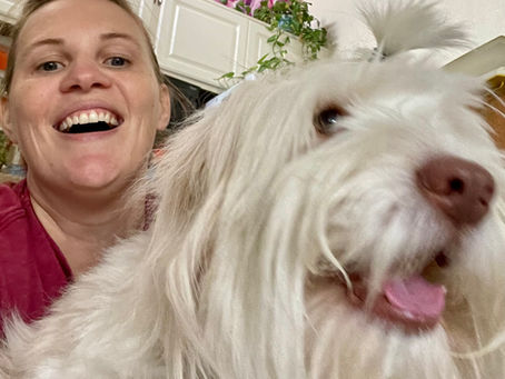 5 Tips to Integrate a Dog into Your Autistic Life