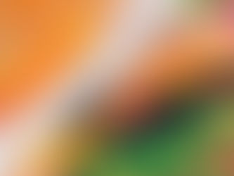 How to Start Your Private Practice When There is No Map