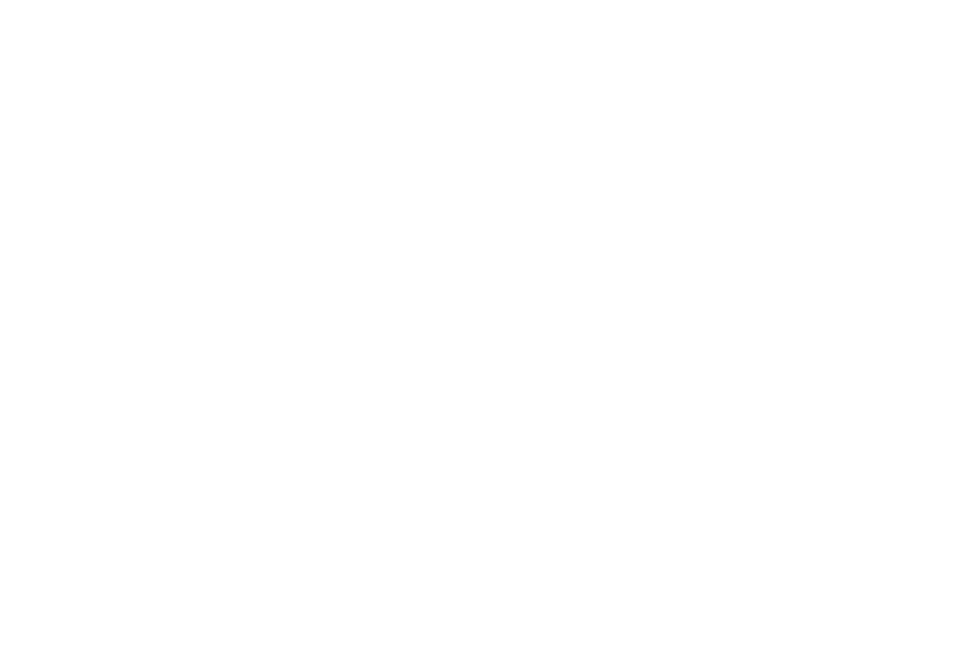 chart icon