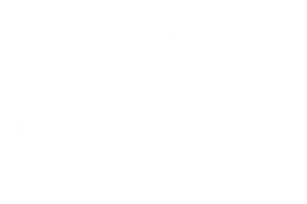 people icon