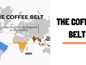 The Coffee Belt