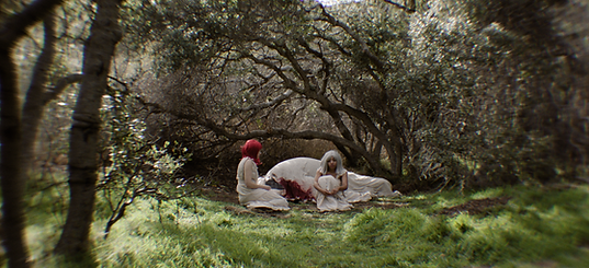 Colorhouse_DPStills_1.76.1.png