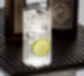 gin tonic per wix.jpg
