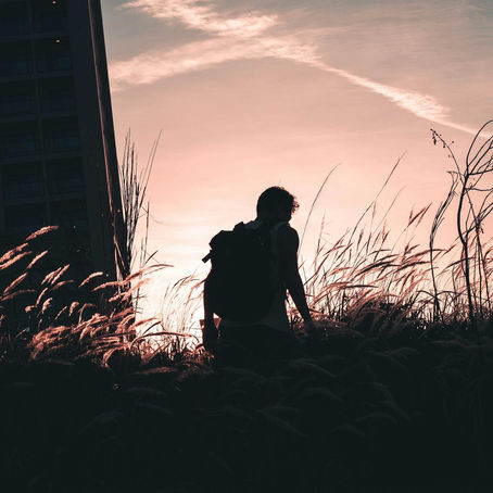 When Someone Else’s Trash becomes Yours.