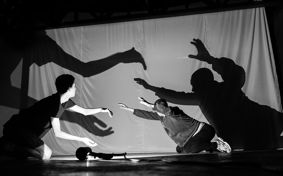 Oficina de Teatro de Sombras