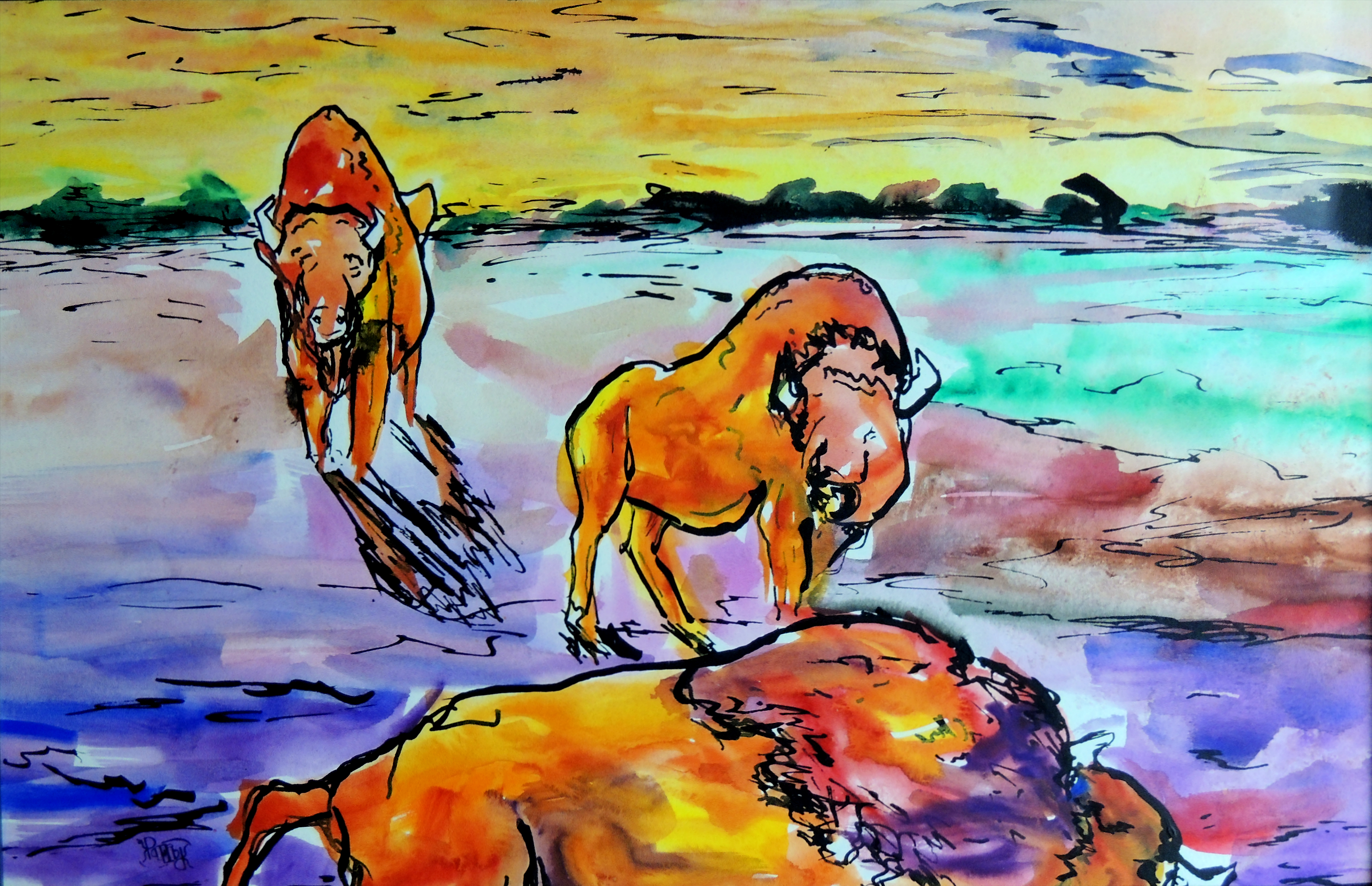 Indiana Bison