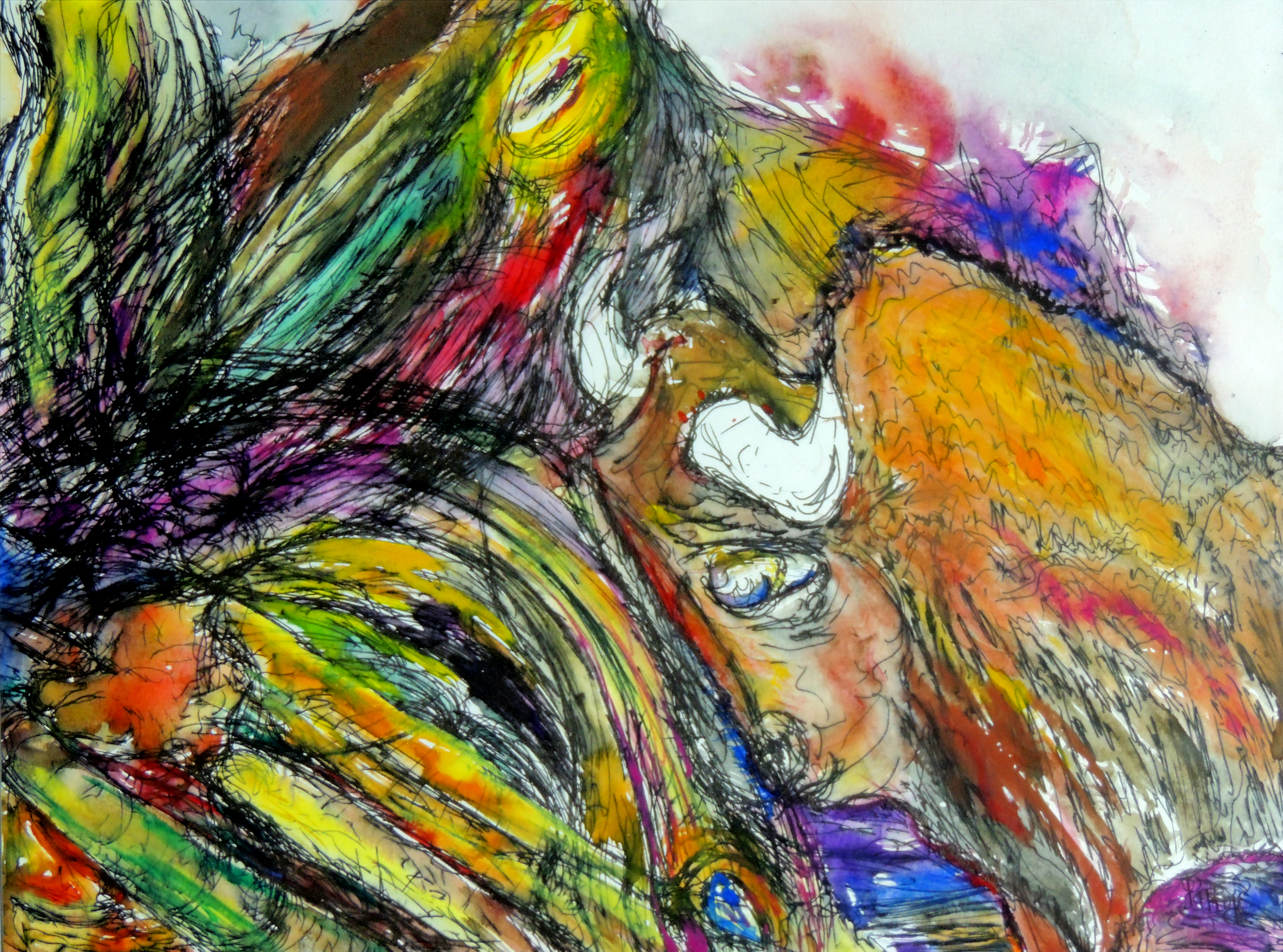 Buffalo Bows to Earth
