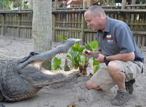St. Augustine Alligator Farm to Host Winter CrocFest