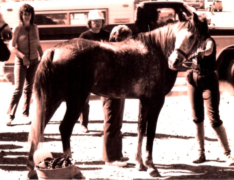 Dorothy_1987