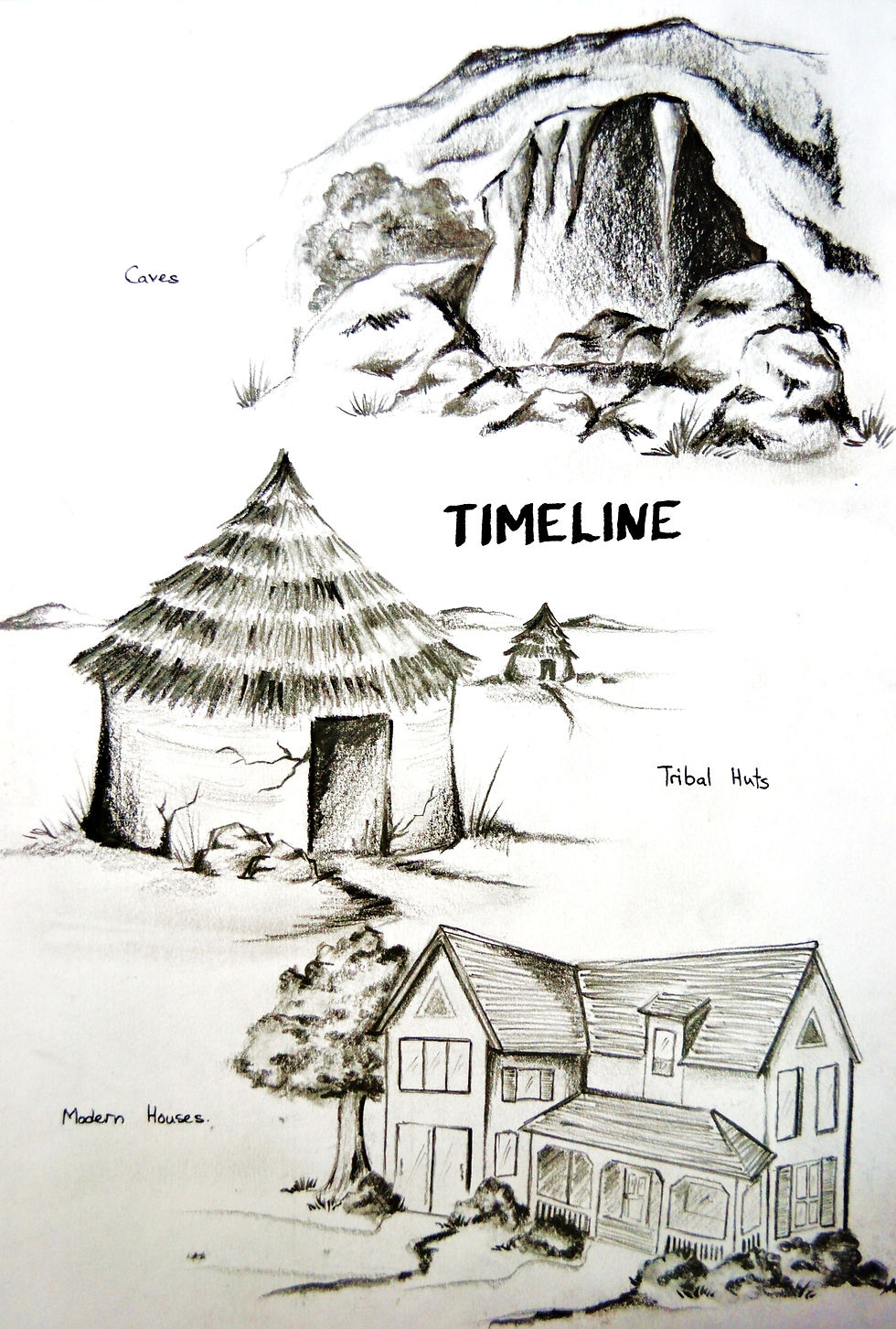 Shelter Timeline