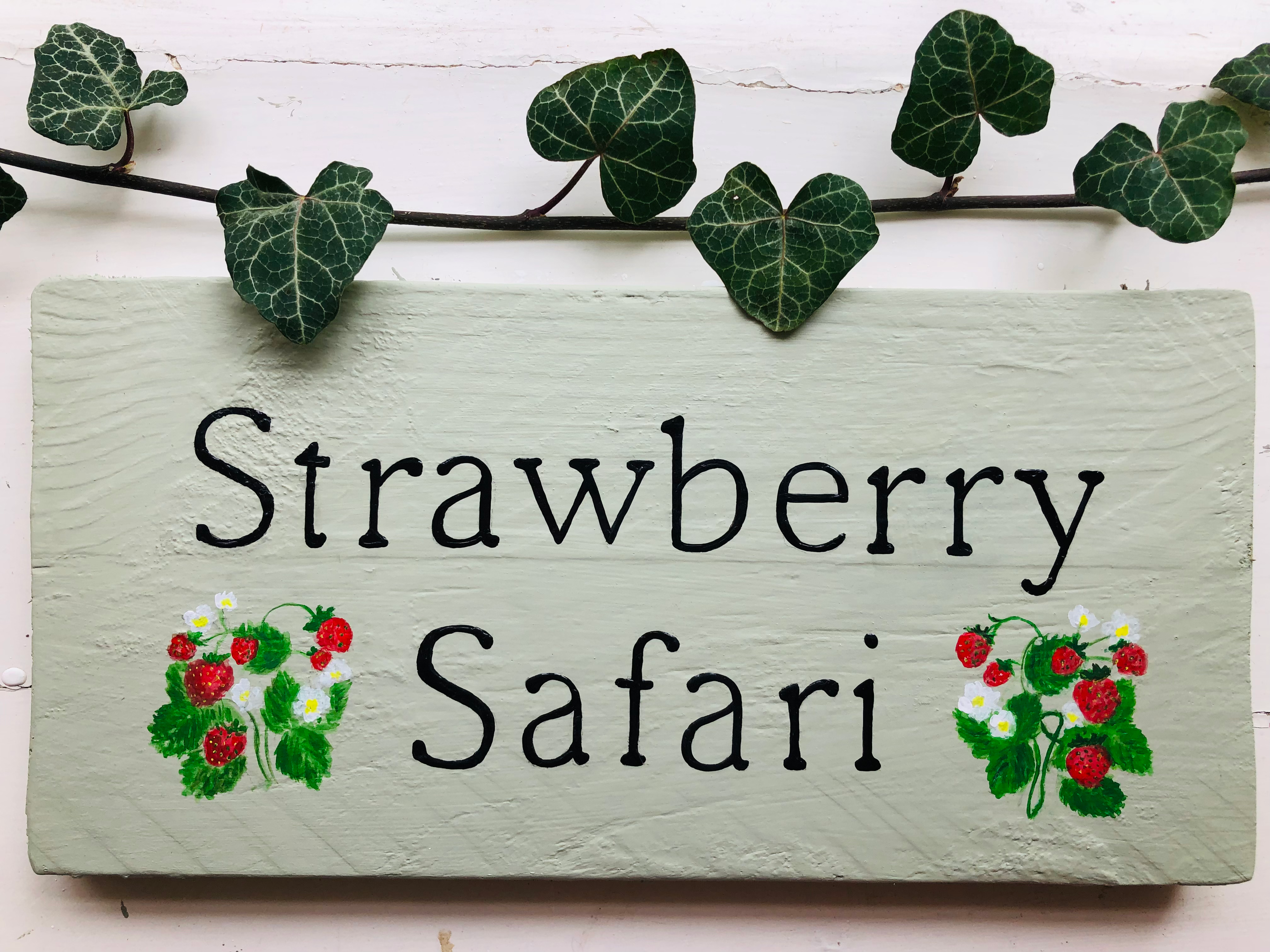 Personalised Wooden Painted Outdoor Sign