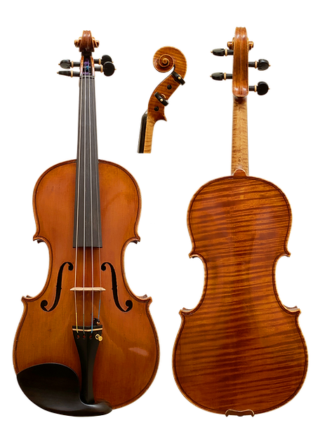 Violin